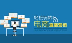 开云线上平台公司、做一个直播系统开云线上平台需要多少钱-北京软件外包公司